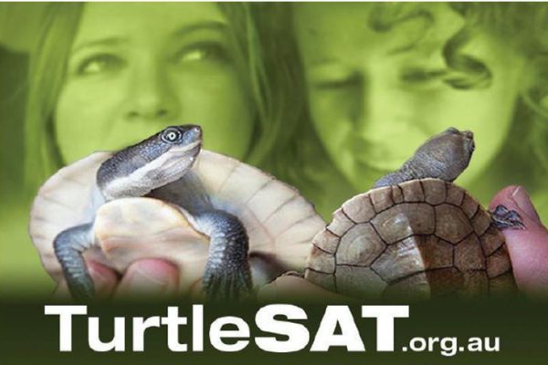 TurtleSAT.org.au