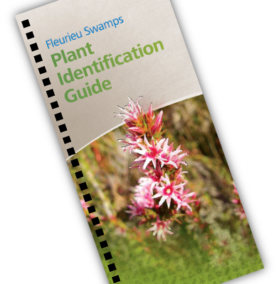 Fleurieu Swamps Plant ID guide